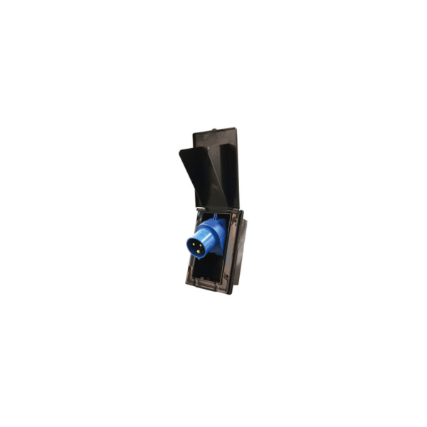 Įvesties lizdas